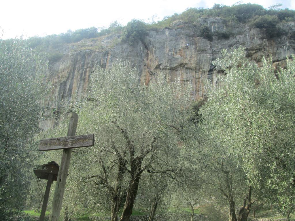 Massone Climbing Home Арко Екстериор снимка